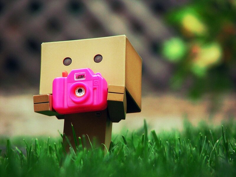 Danbo Holding Camera