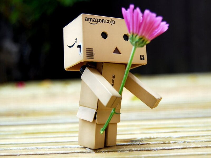 Danbo Holding Flower