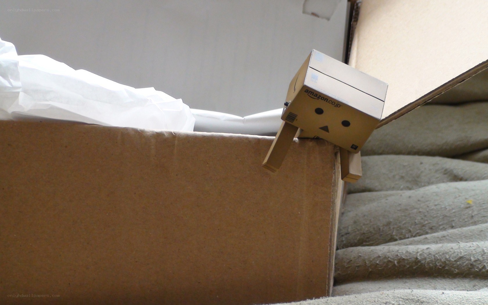Danbo in a cardboard box