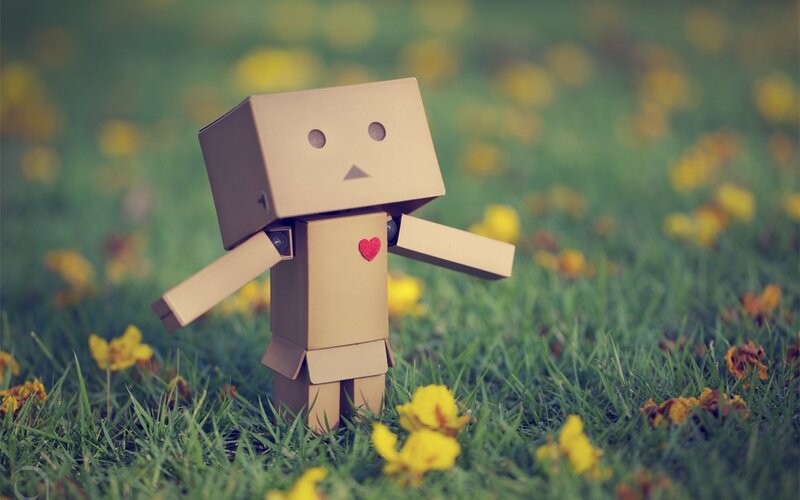 Danbo in a field of flowers