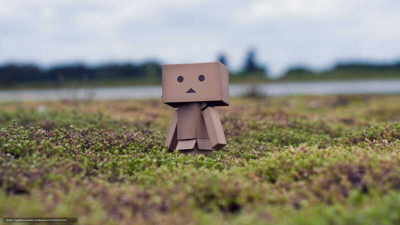 Danbo in a field