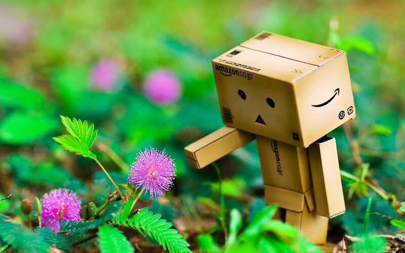 Danbo in a flower field