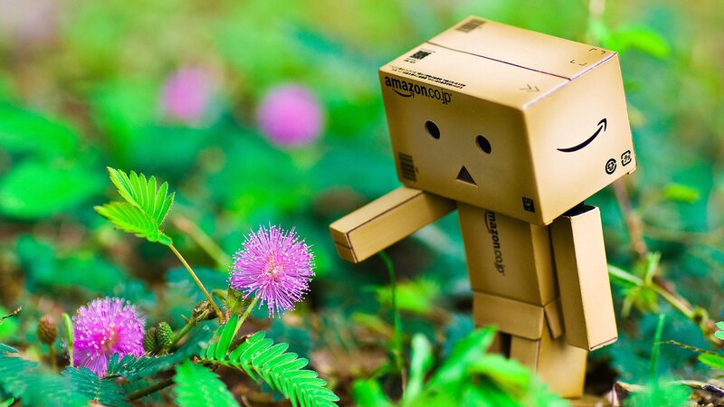Danbo in a flower garden