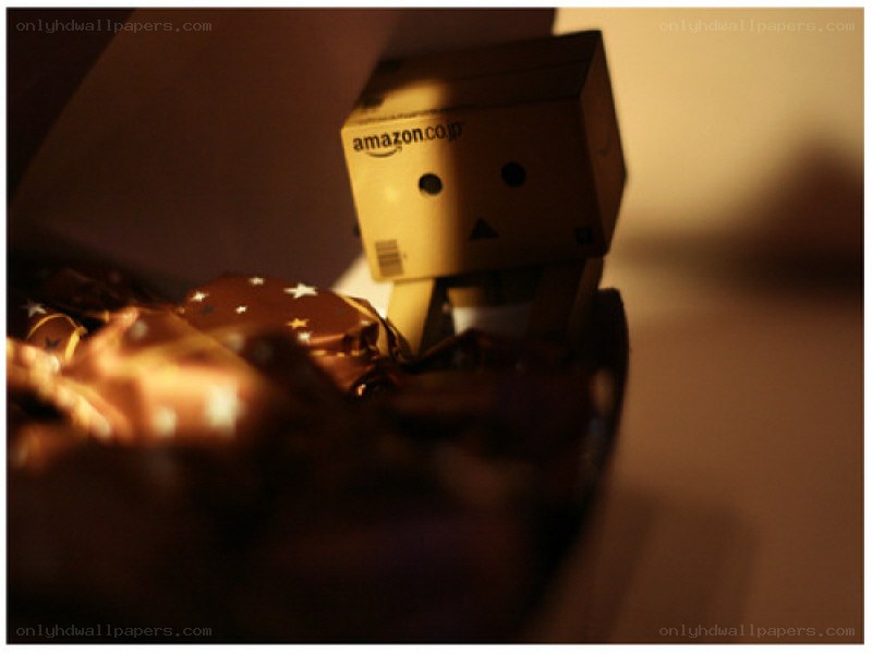 Danbo in a gift box