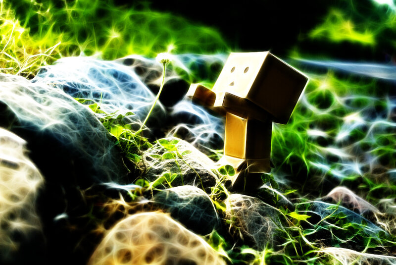 Danbo in a glowing forest