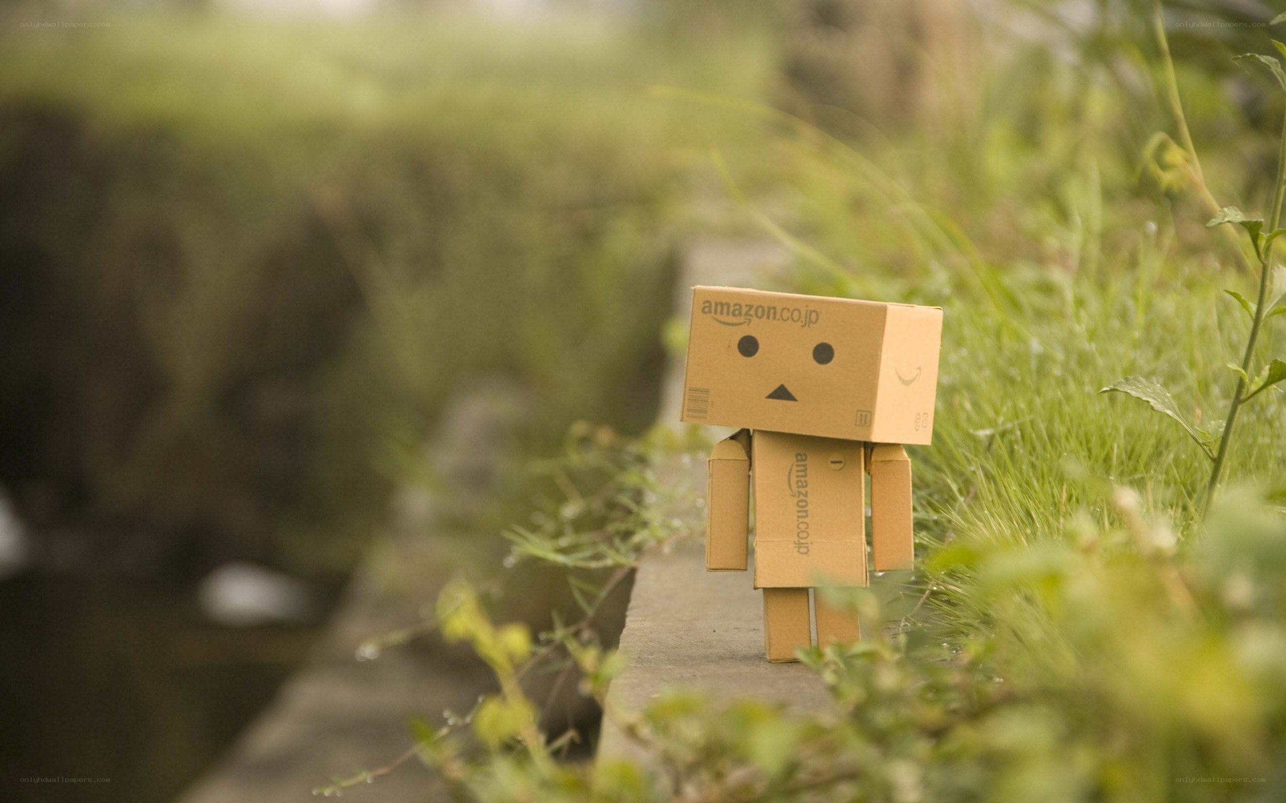 Danbo in a grassy field