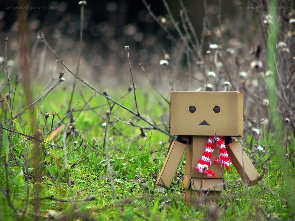 Danbo in a grassy field