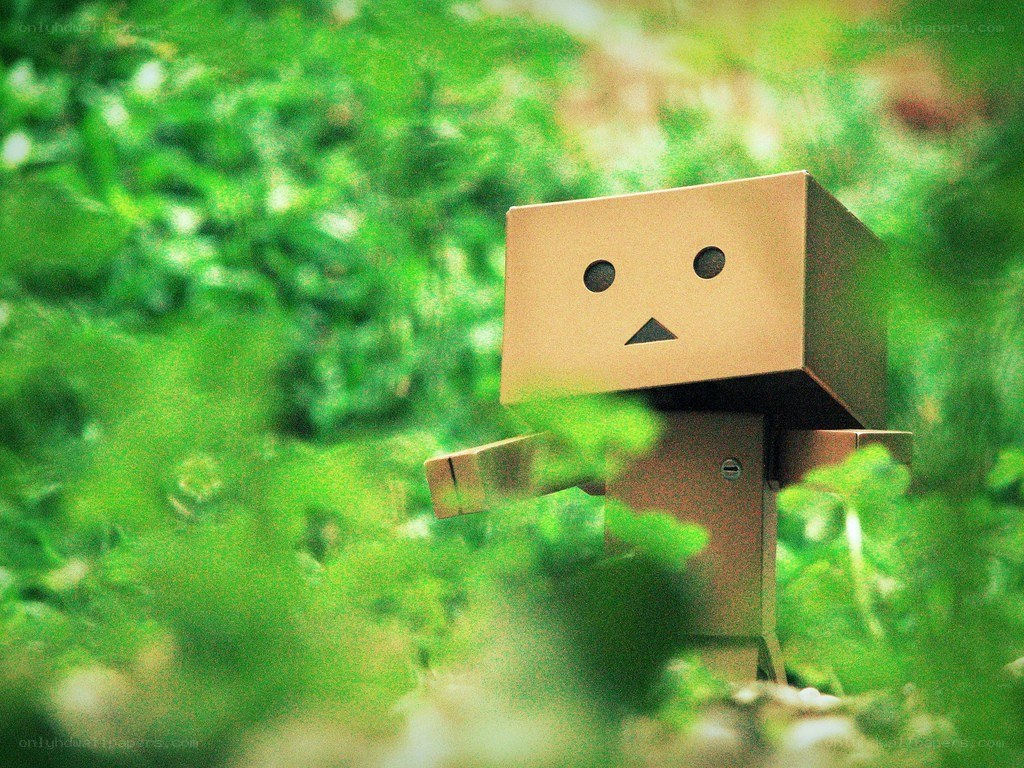 Danbo in a green field