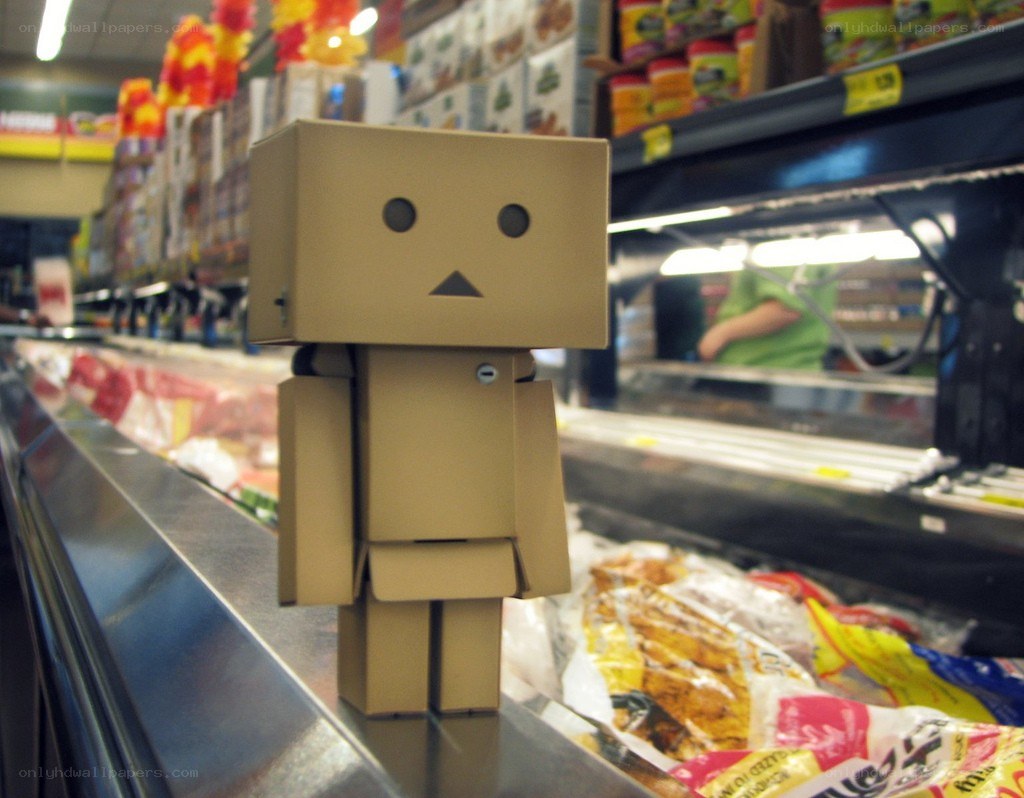 Danbo in a grocery store
