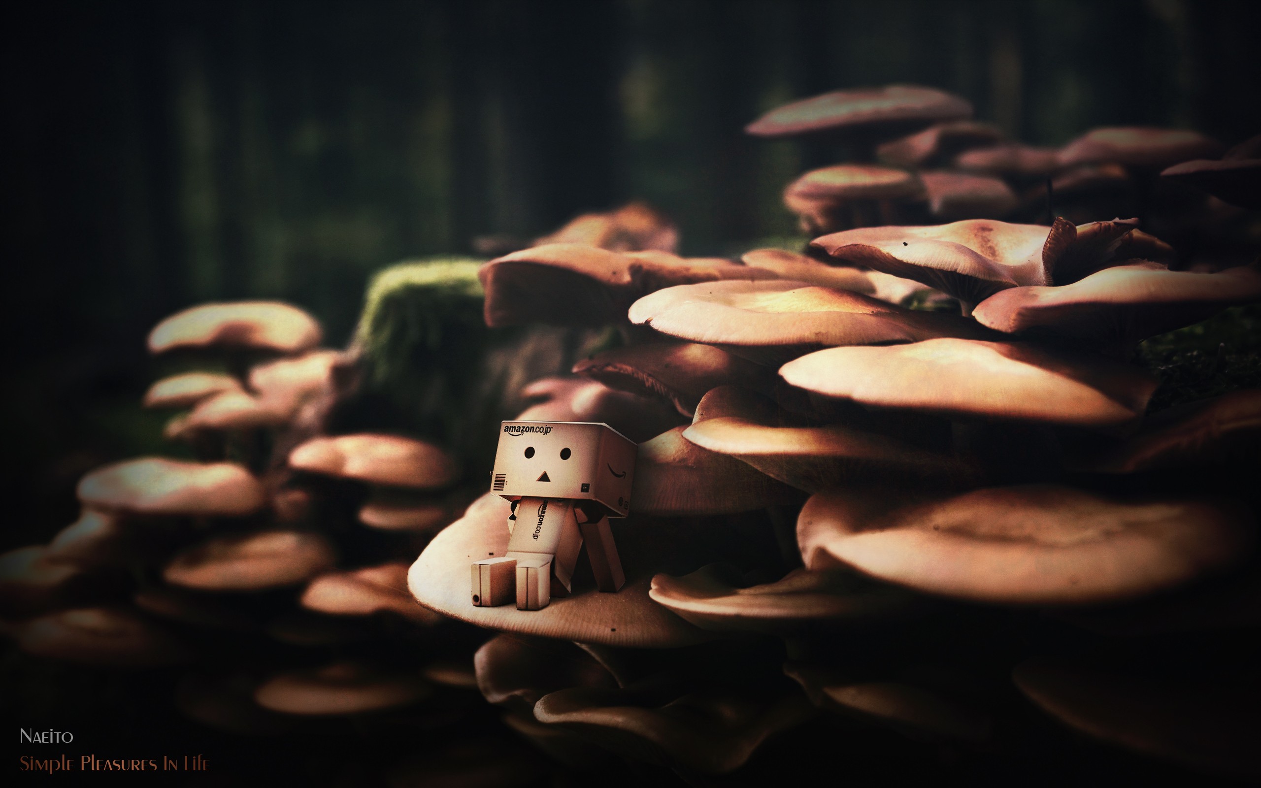 Danbo in a mushroom forest