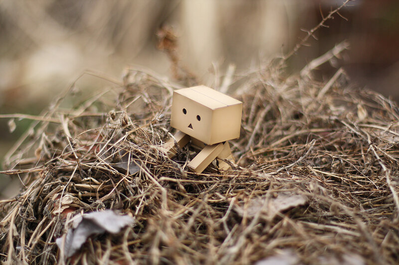 Danbo in a nest of twigs