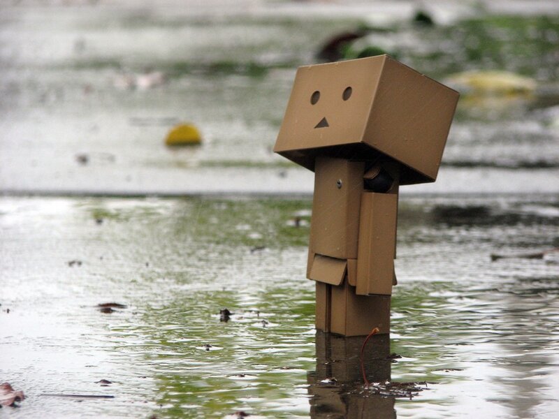 Danbo in a puddle