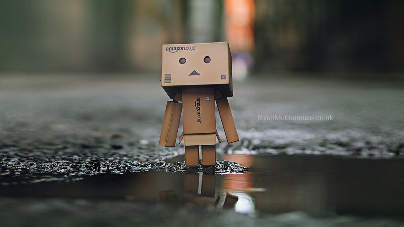 Danbo in a puddle