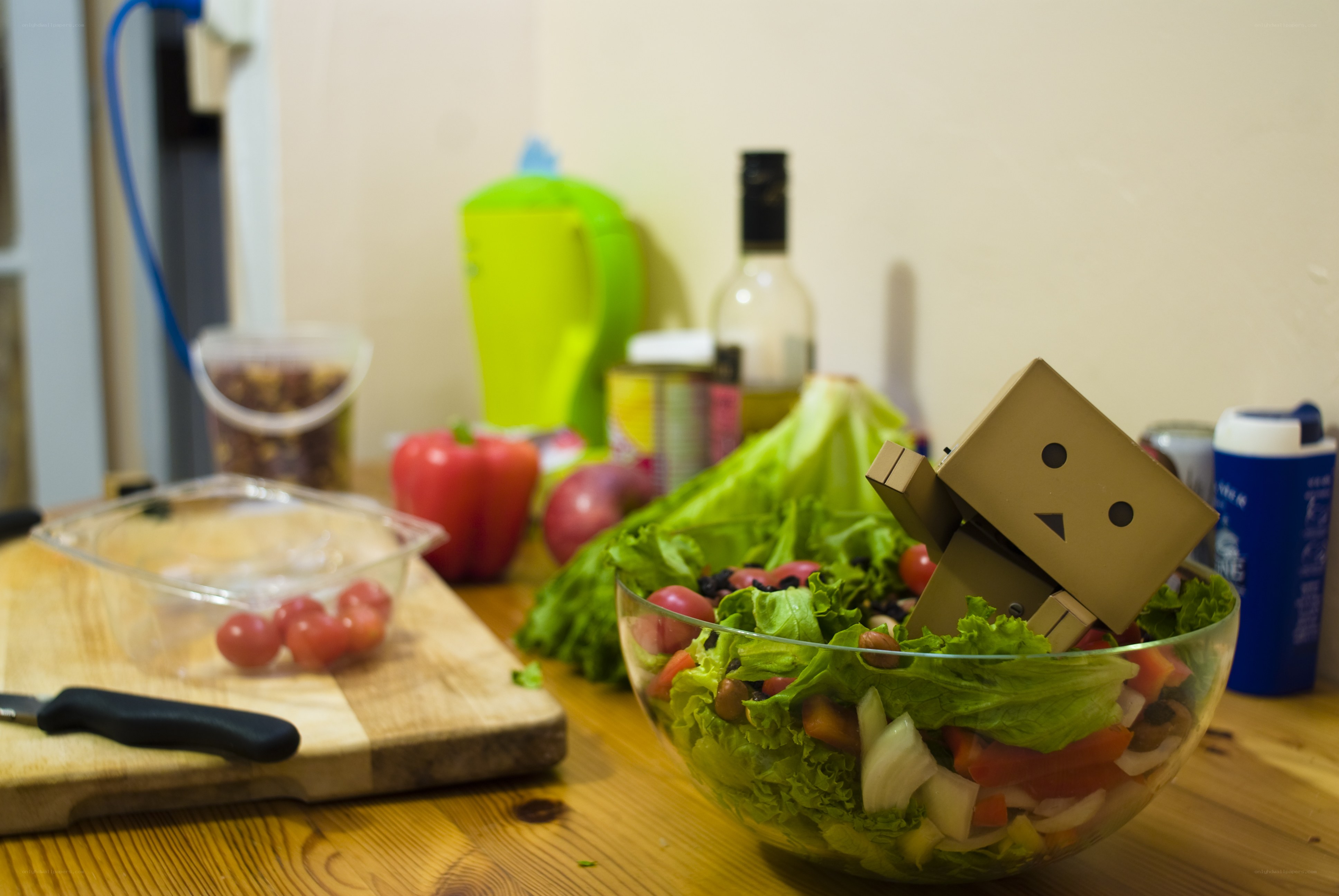 Danbo in a salad bowl