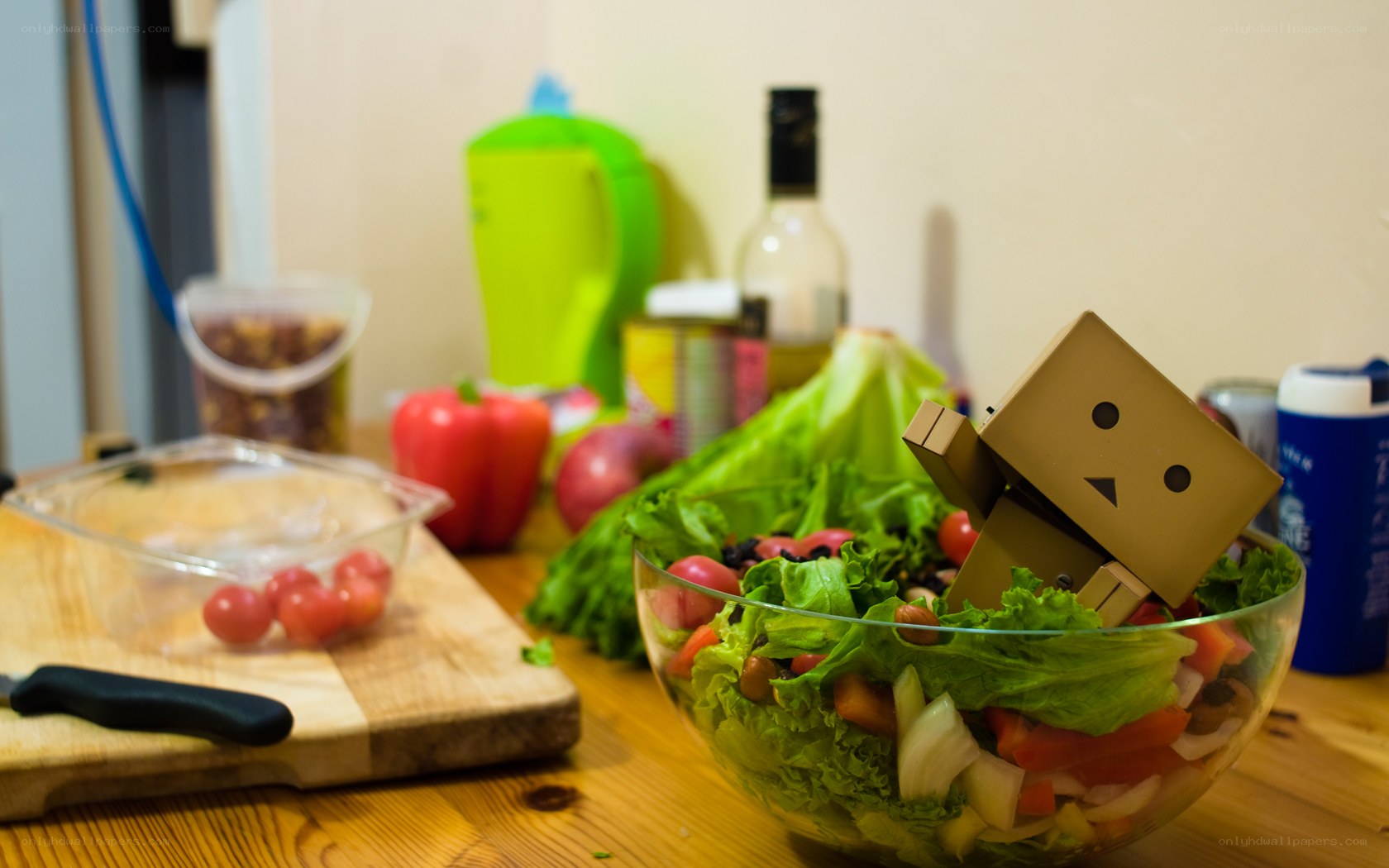 Danbo in a salad bowl