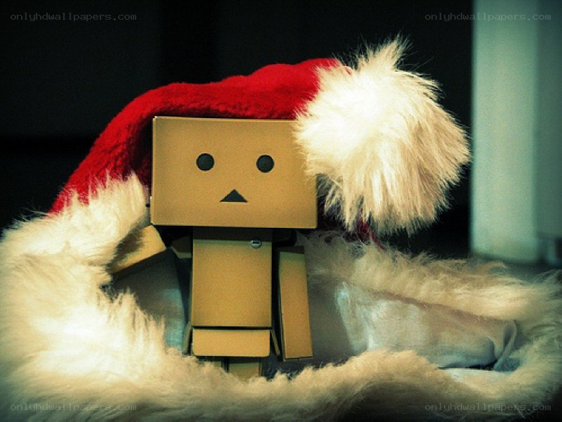 Danbo in a Santa hat