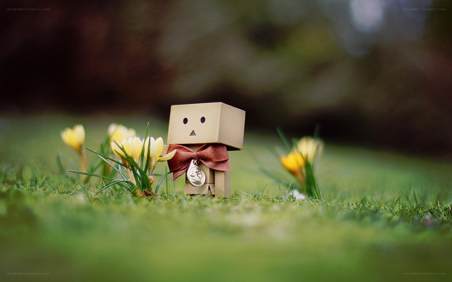 Danbo in a spring garden