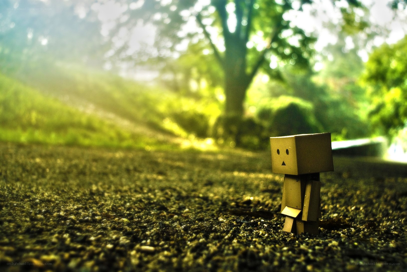 Danbo in a sunlit park