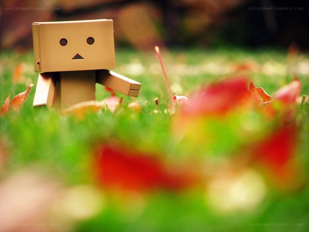 Danbo in autumn grass