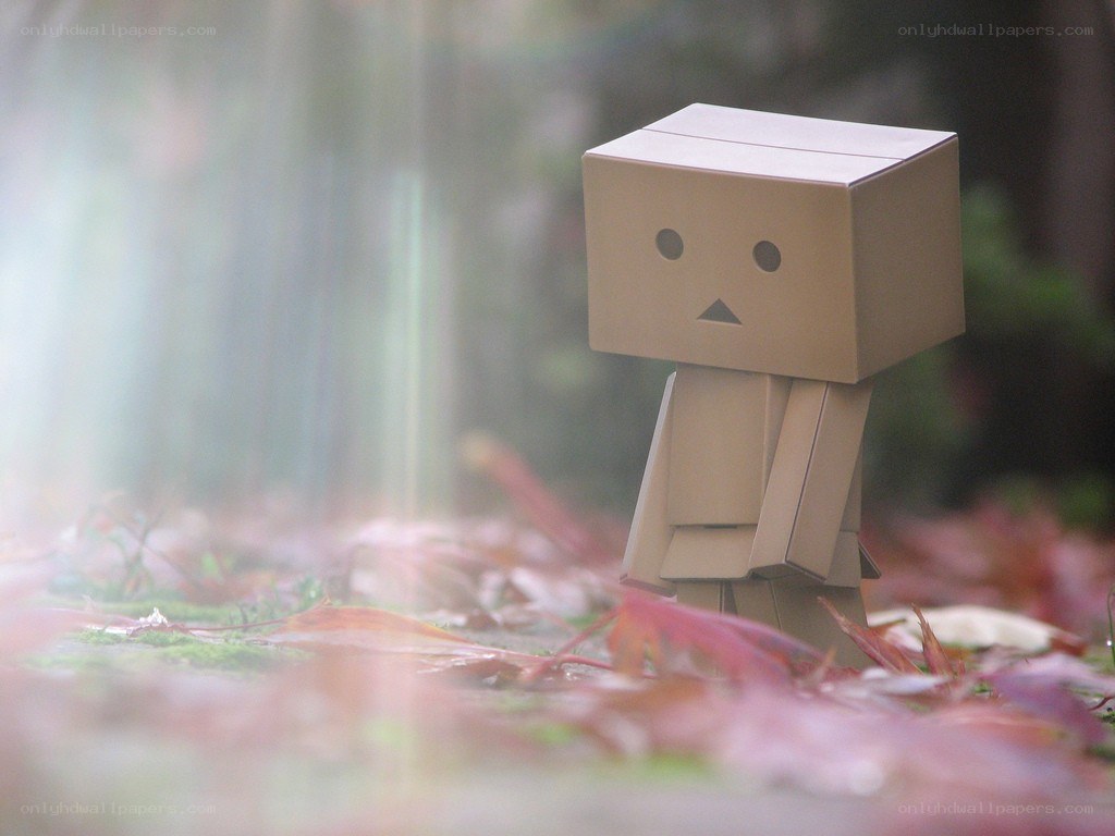 Danbo in autumn leaves