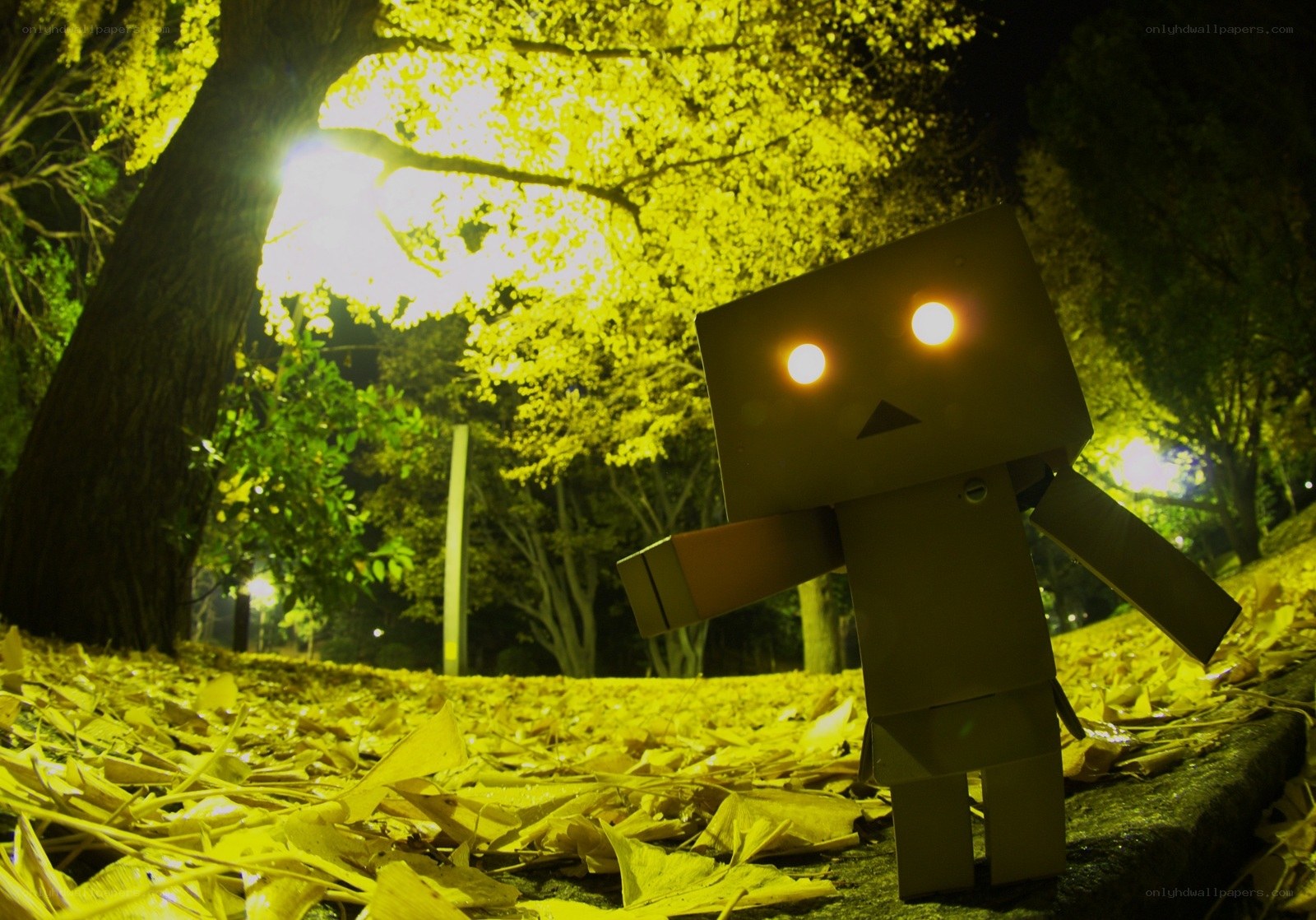 Danbo in autumn park
