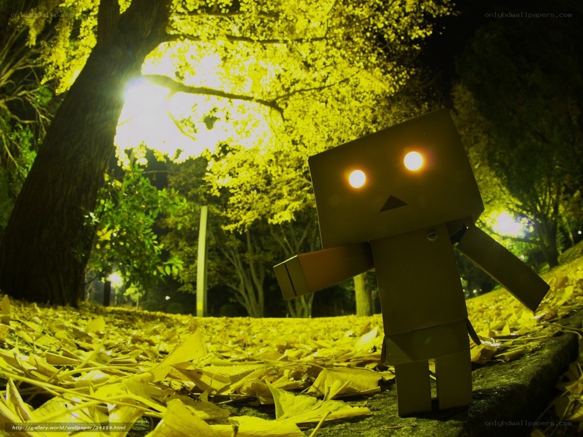 Danbo in autumn park