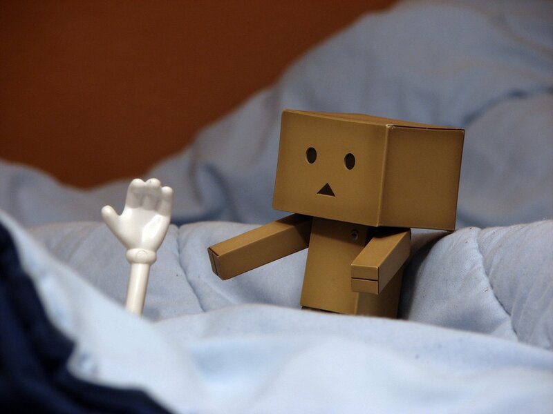 Danbo in bed with hand