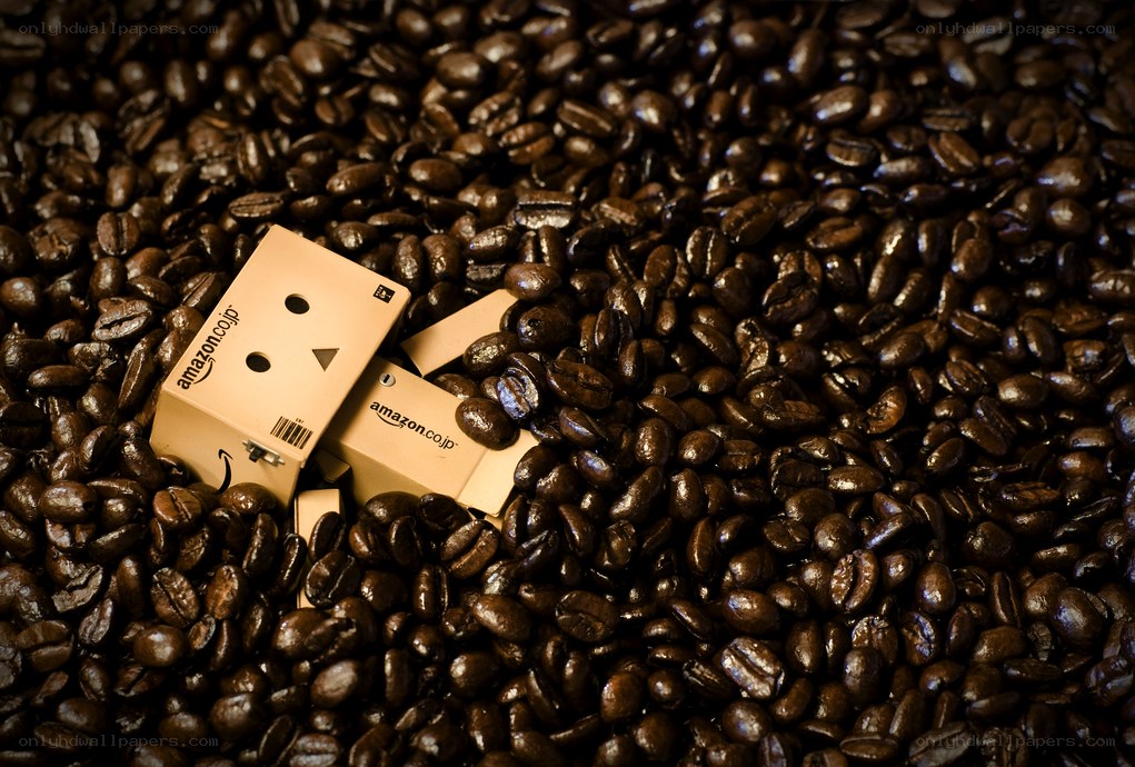 Danbo in coffee beans