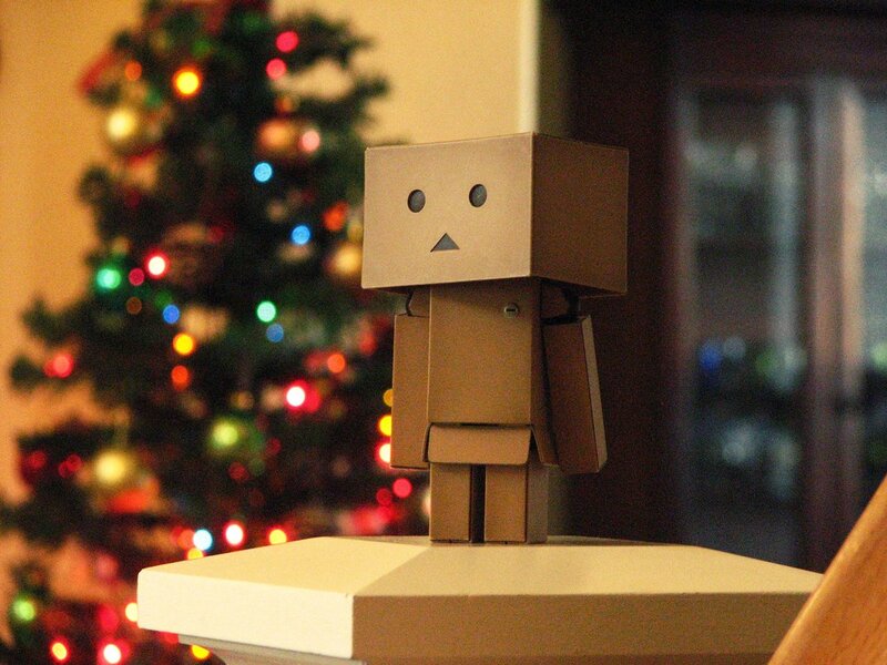 Danbo in front of Christmas tree