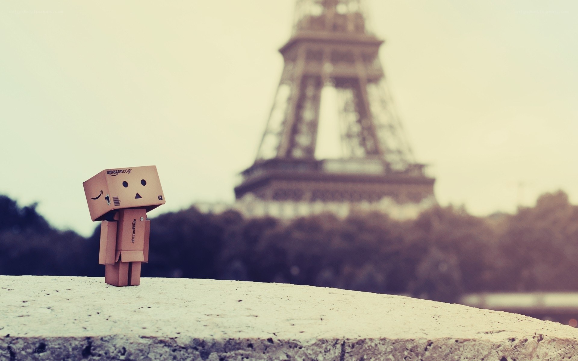 Danbo in front of Eiffel Tower