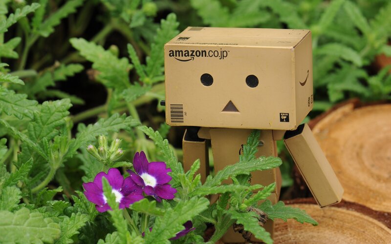 Danbo in Garden