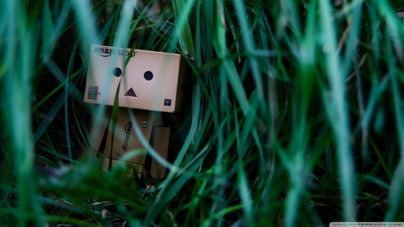 Danbo in Grass — Green