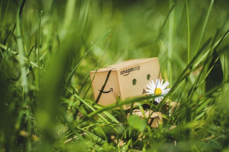Danbo in Grass