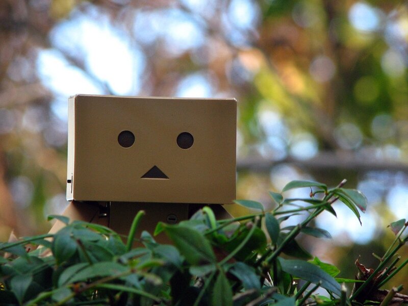 Danbo in green foliage
