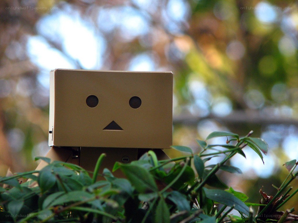 Danbo in green foliage
