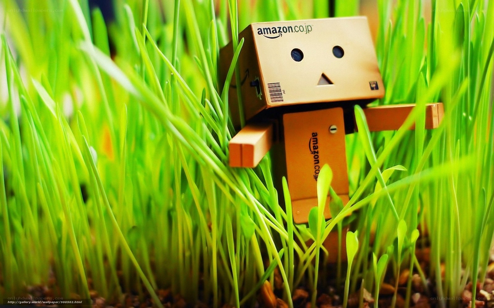 Danbo in green grass
