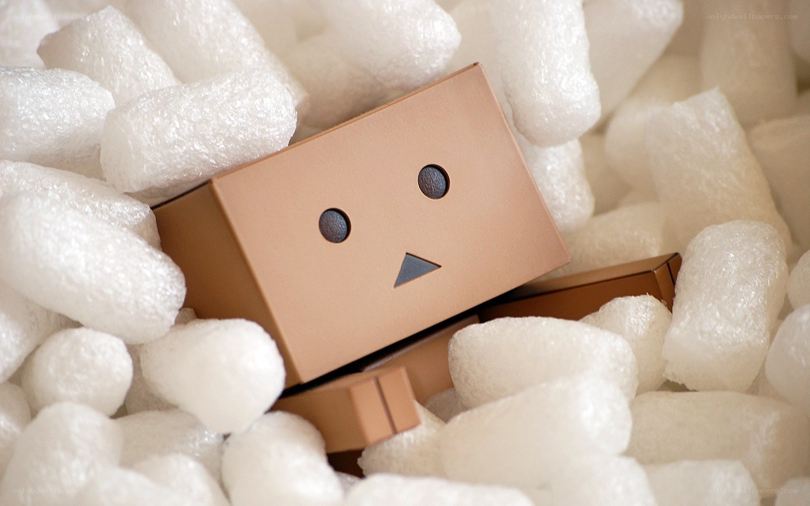 Danbo in packing peanuts