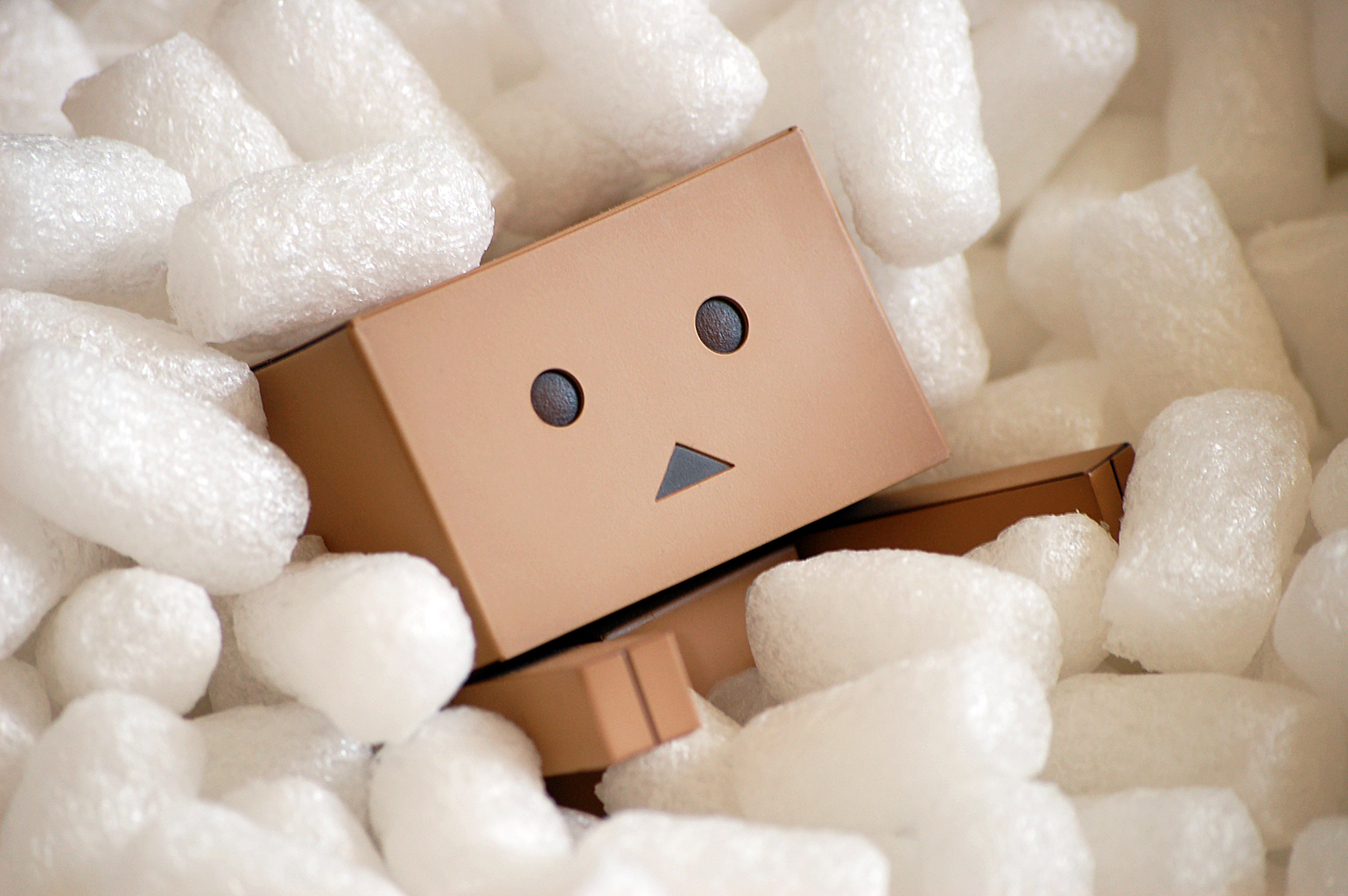 Danbo in packing peanuts
