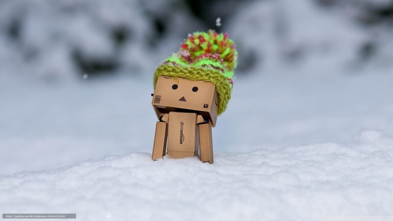 Danbo in snow hat