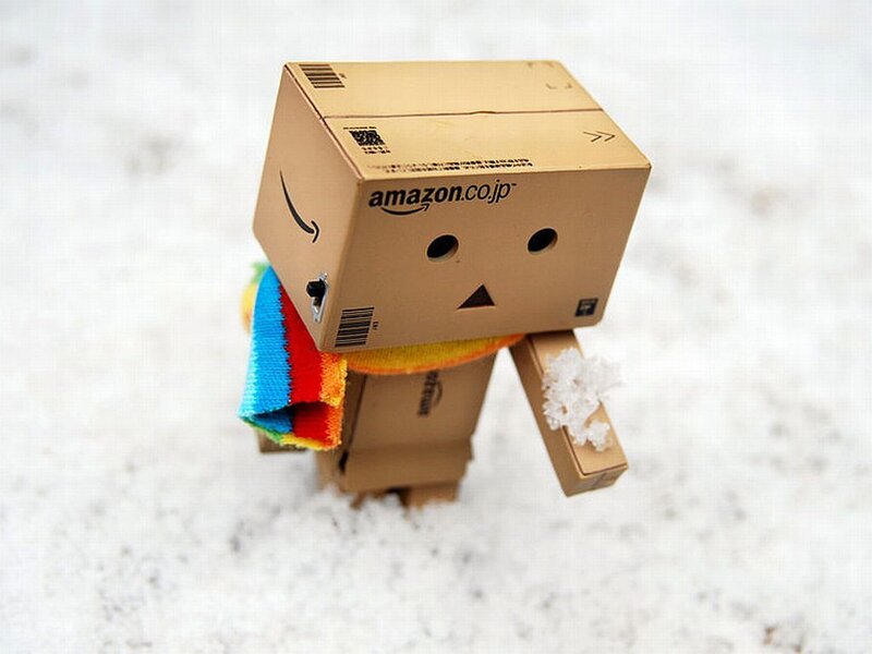 Danbo in Snow