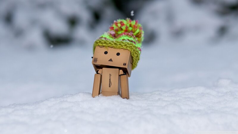 Danbo in Snow — White