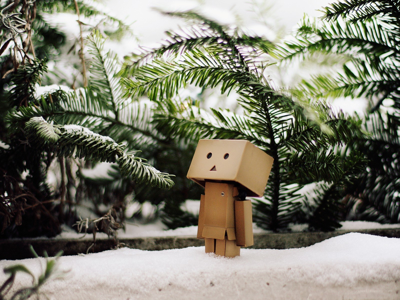 Danbo in snowy forest