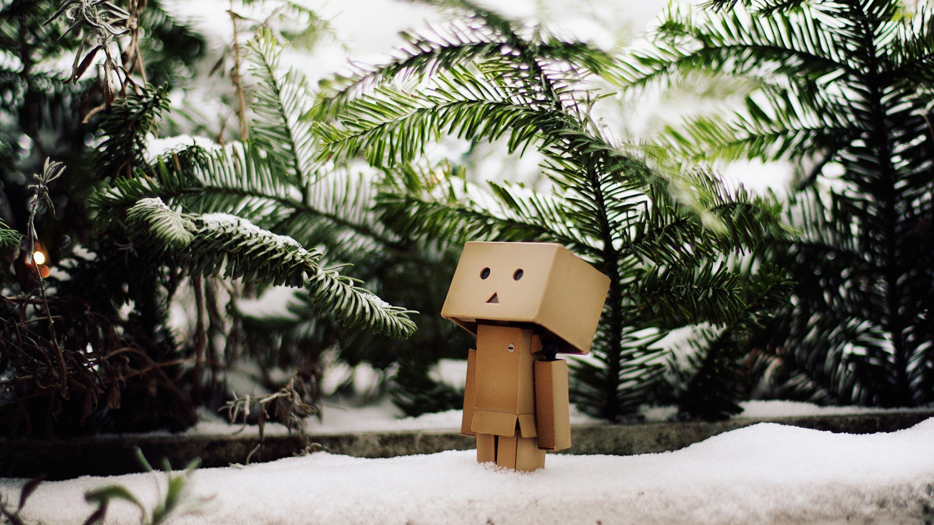 Danbo in snowy forest