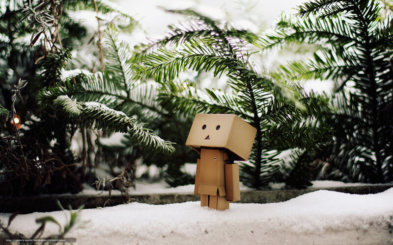 Danbo in snowy forest