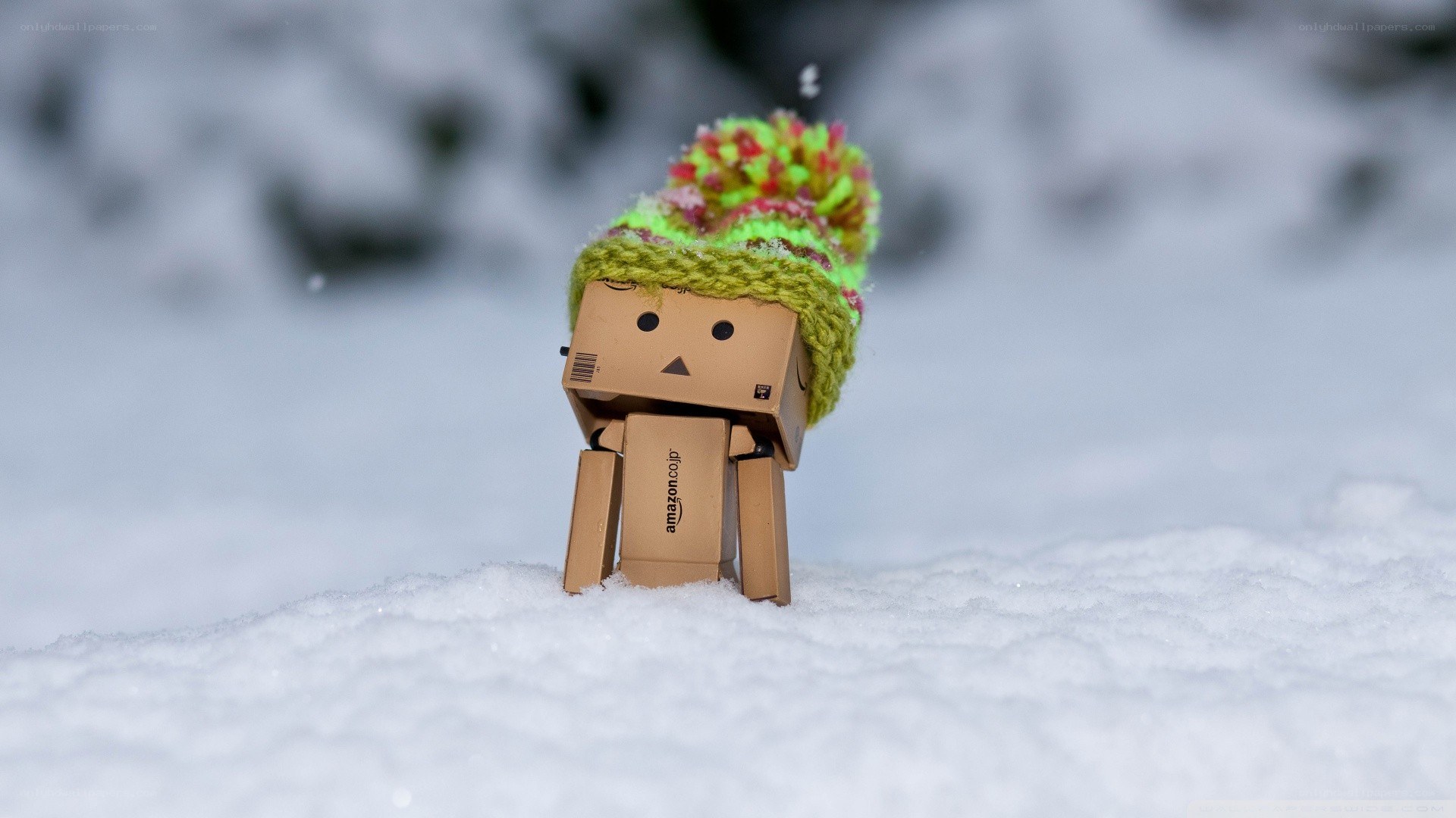 Danbo in snowy landscape