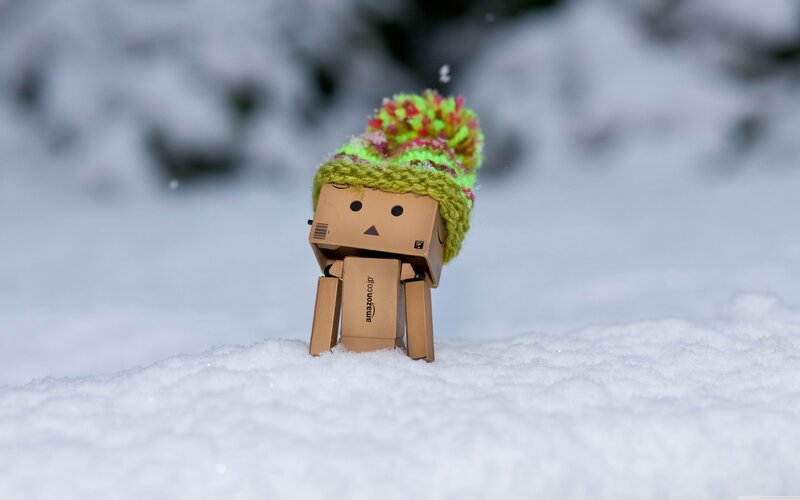 Danbo in snowy landscape