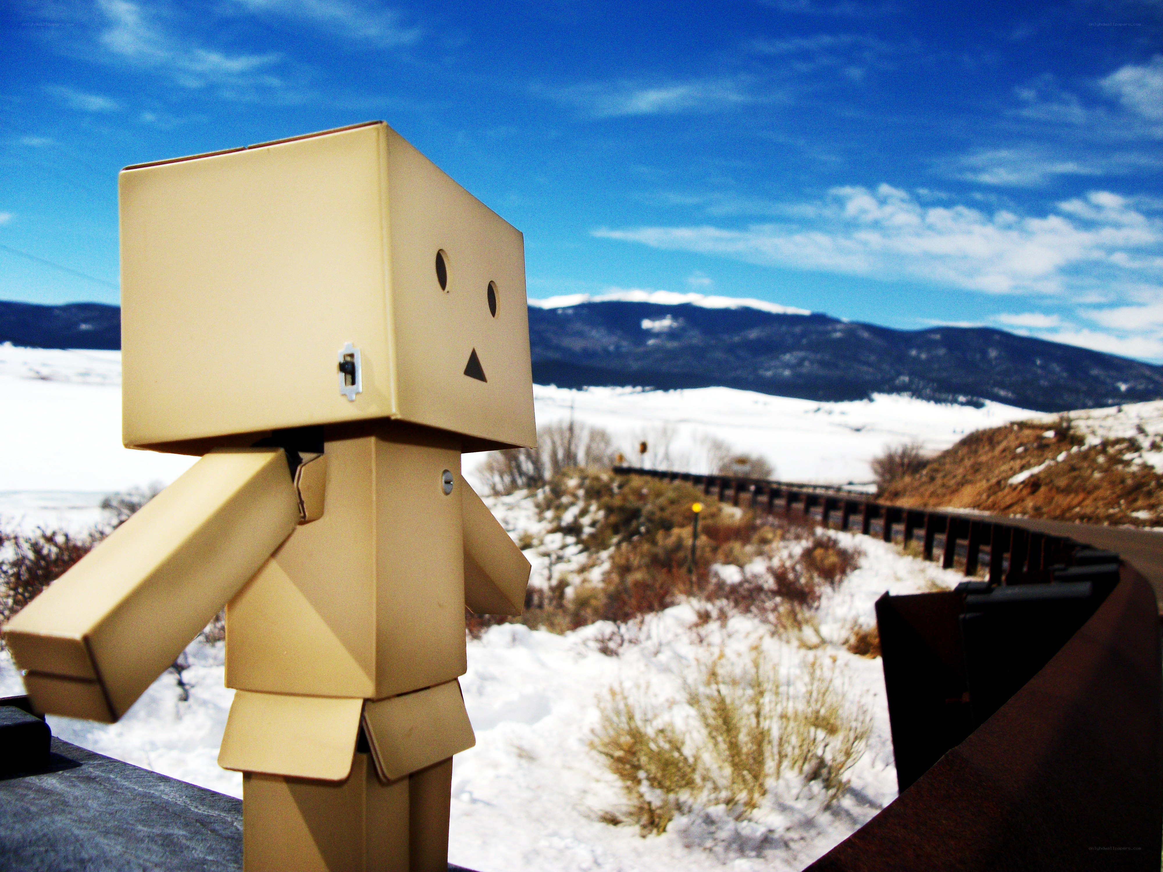 Danbo in snowy landscape