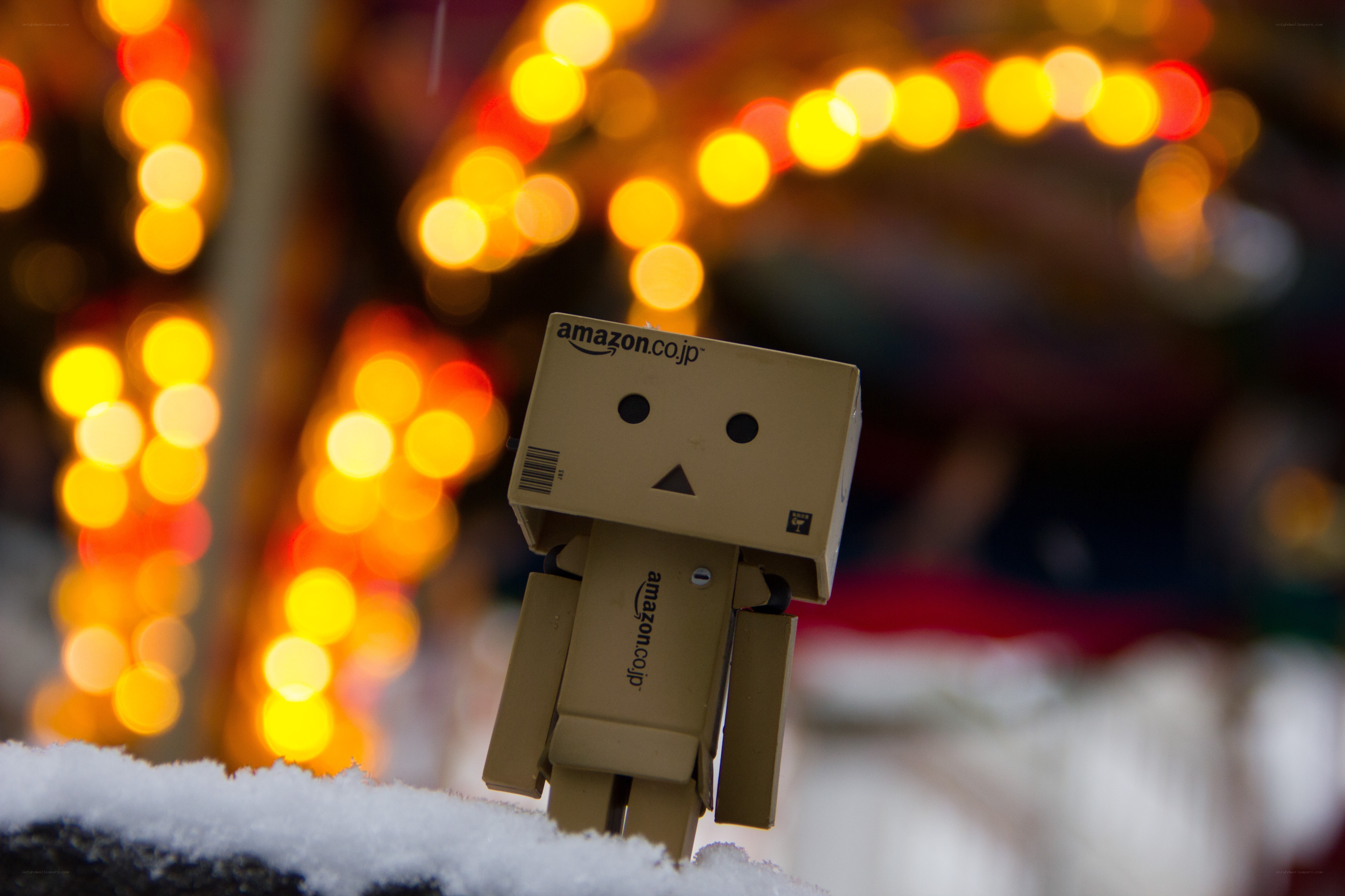 Danbo in snowy lights