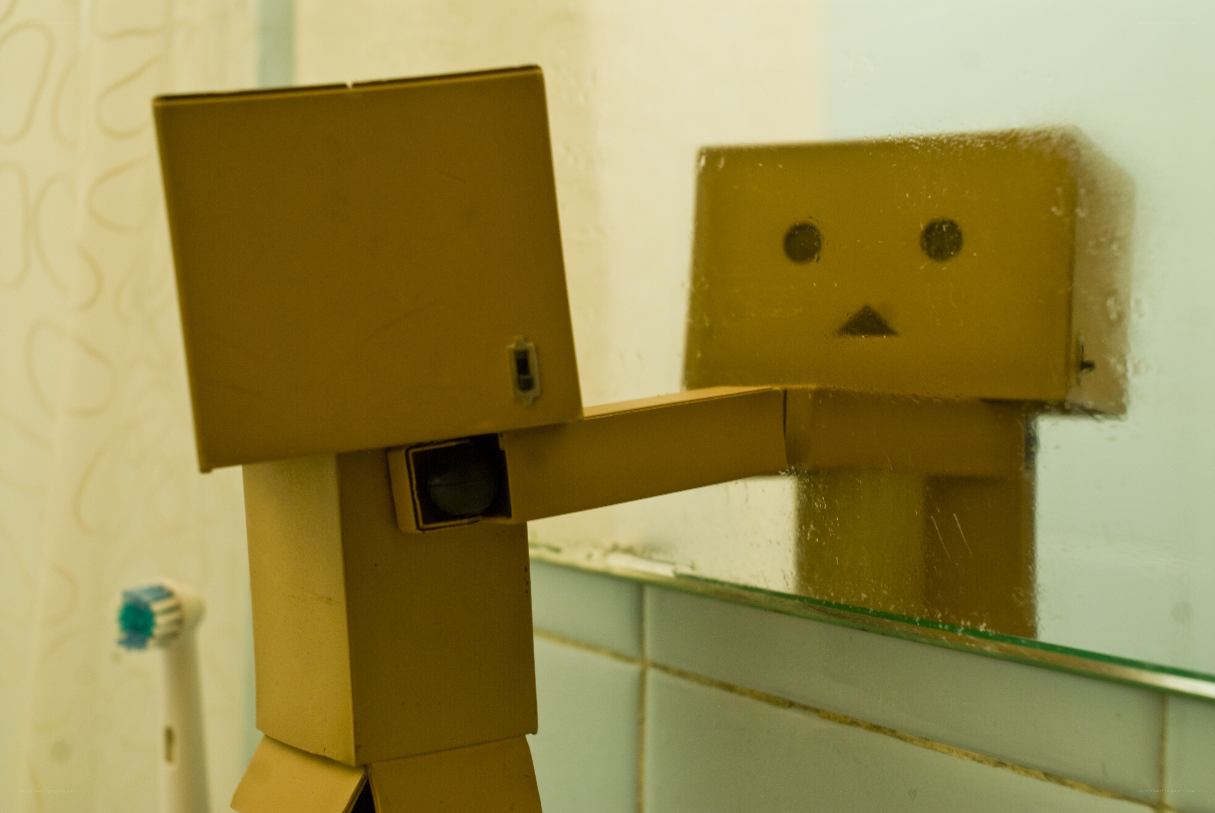Danbo in the bathroom