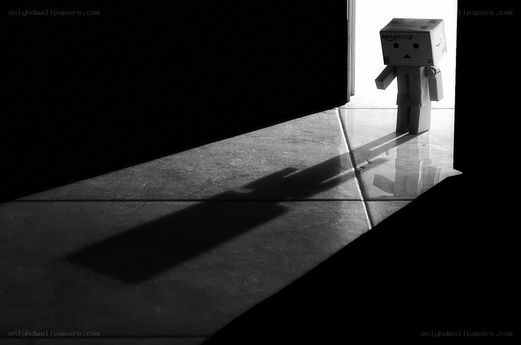 Danbo in the doorway